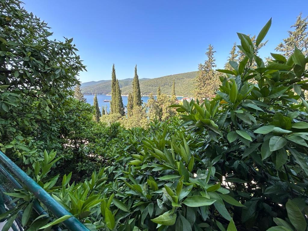 Apartment Near The Sea 650 Rabac Eksteriør bilde